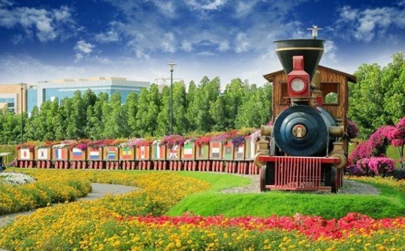 بالصور: حديقة Miracle Garden أكبر حديقة زهور في العالم بدبي